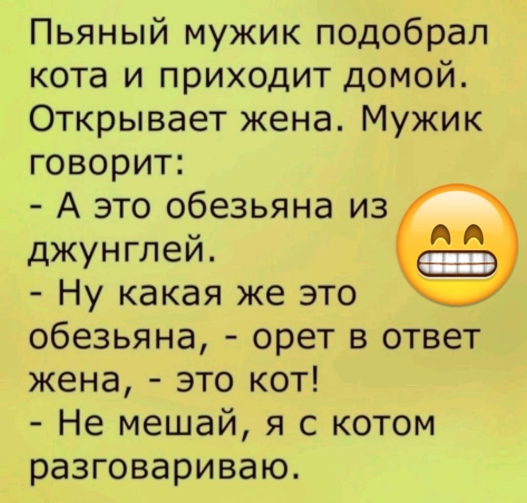 Пьяный мужик подобрал кота и приходит домой Открывает жена Мужик говорит А это обезьяна из джунглей Ну какая же это обезьяна орет в ответ жена это кот Не мешай я с котом разговариваю