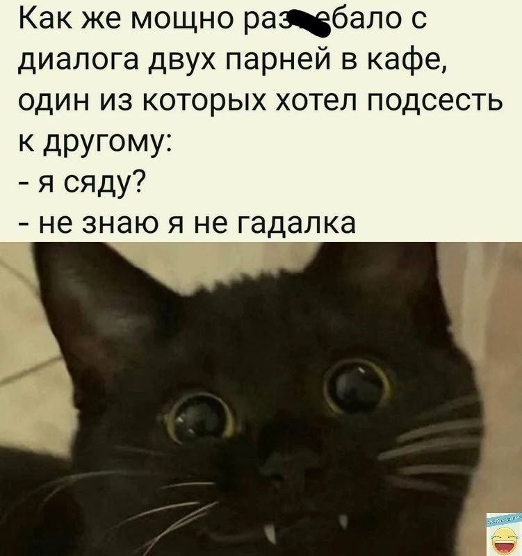 Как же мощно ращбапо с диалога двух парней в кафе один из которых хотел подсесть к другому я сяду не знаю Я не гадалка