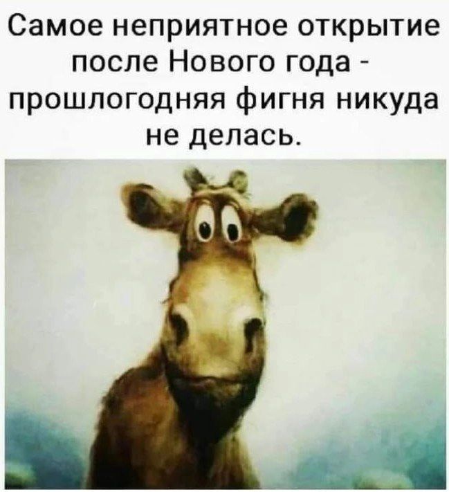 Самое неприятное открытие после Нового года прошлогодняя фигня никуда не делась А