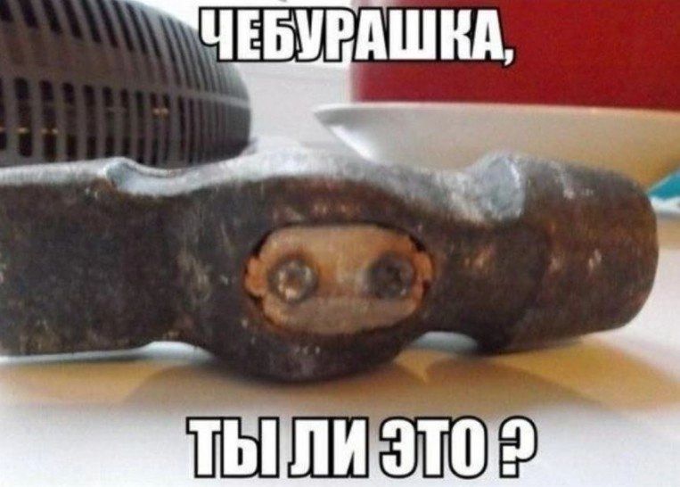 ЧЕБУРАШКА
