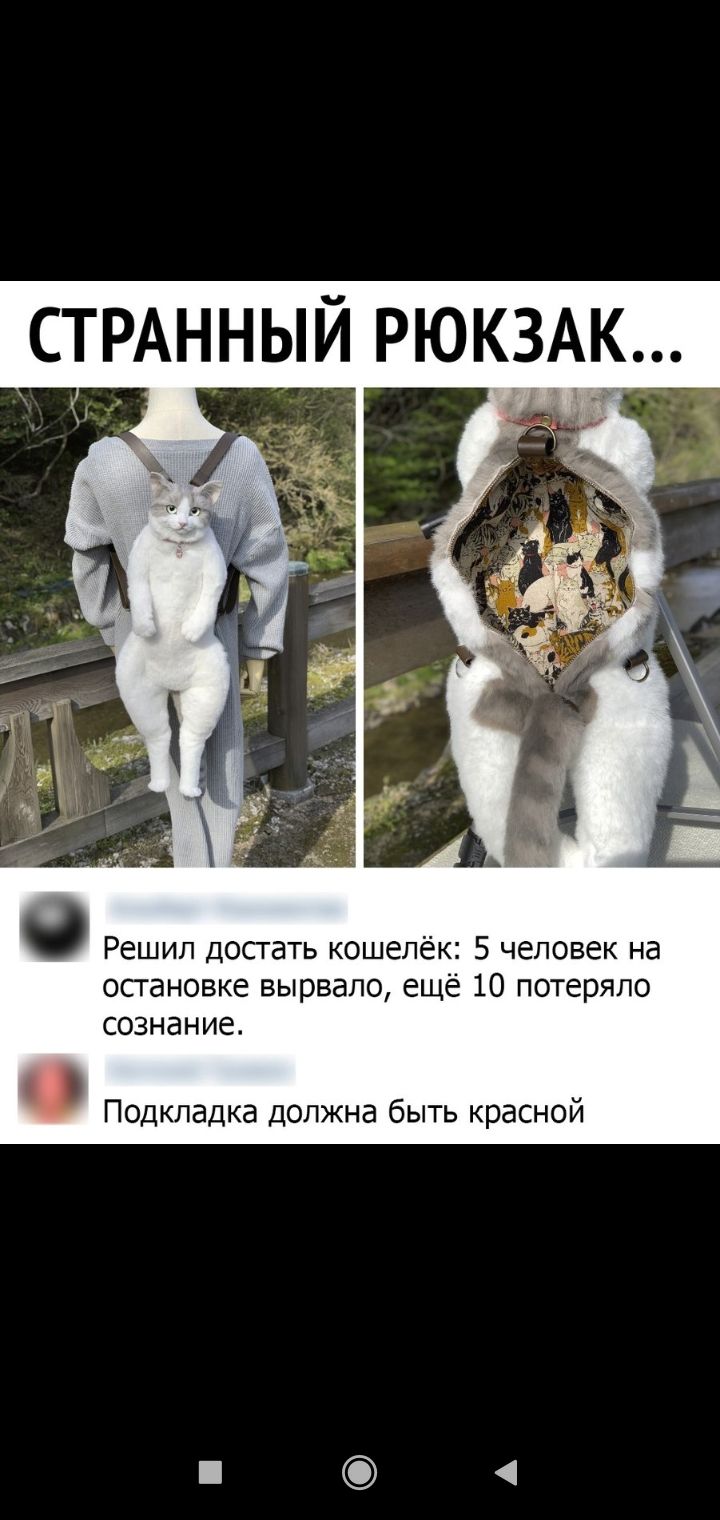СТРАННЫЙ рюкзАк Решип допать кошелёк 5 человек на остановке вырвало еще 10 потеряло сознание подкладка должна быть красной