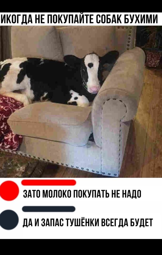 ИКПГЛА НЕ ПОКУПАИТЕ СОБАК БУХИМИ _ ЗАТП молоко ПОКУПАТЬ НЕ НАЦП _ НА И ЗАПАС ТУШЁНКИ ВСЕГДА БУДЕТ