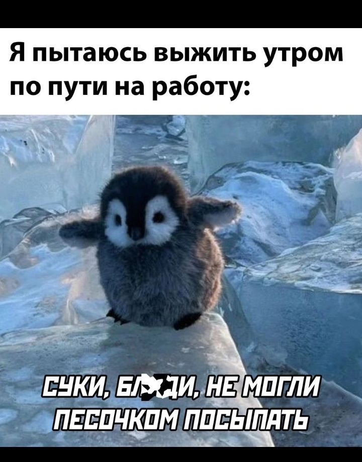 Я ПЫТЗЮСЬ ВЫЖИТЬ УТРОМ по пути на работу пики НМИНЕ мпгли птичкам пппыпдть н