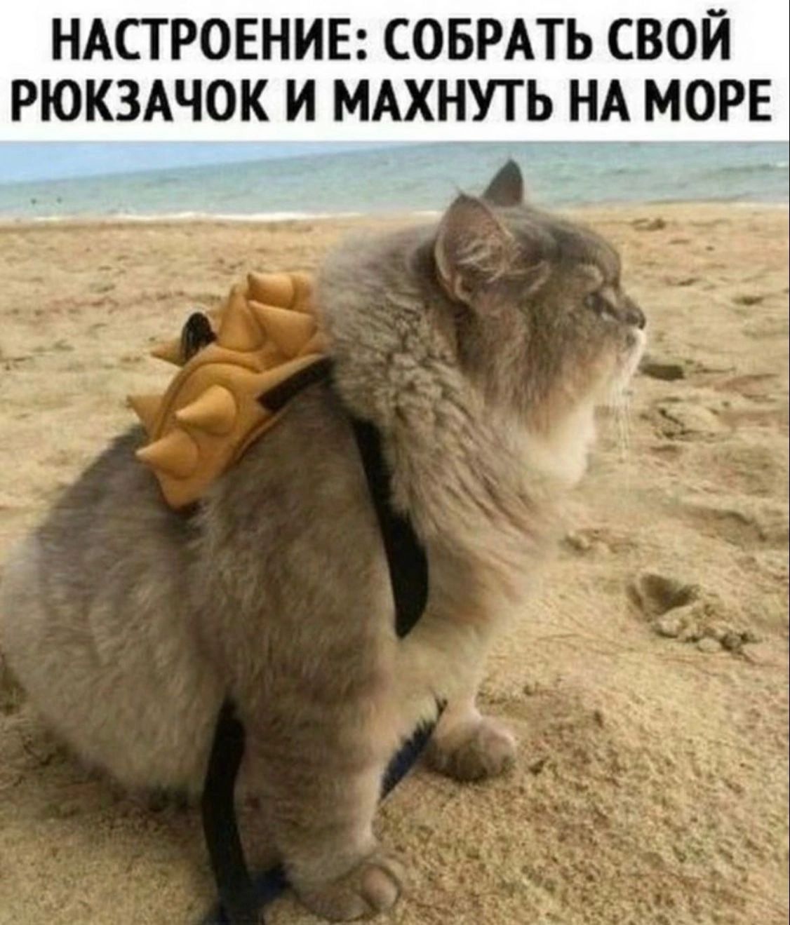 НАСТРОЕНИЕ СОБРАТЬ СВОЙ РЮКЗАЧОК И МАХНУТЬ НА МОРЕ
