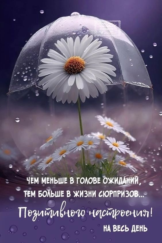 ЧЕМ меньше в голове байт 4 пм воХьшв в жизни лютни Педиииёчщ шип МАВЕАЬДЕМЬ
