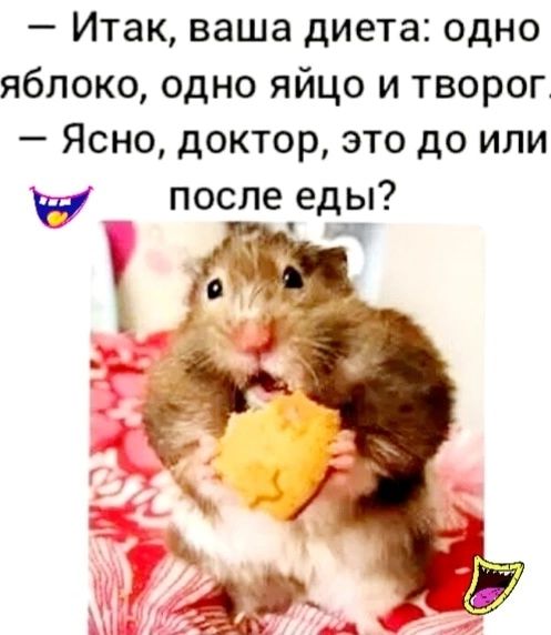 Итак ваша диета одно яблоко одно яйцо и творог Ясно доктор это до или 54 после еды