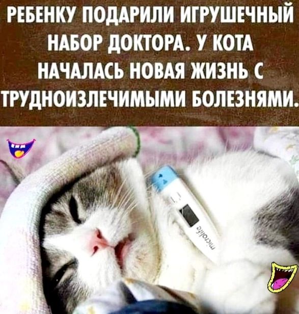 РЕБЕНКУ ПОДАРНЛИ ИГРУШЕЧНЫЙ НАБОР дОКТОРА У КОТА НАЧАЛАСЬ НОВАЯ ЖИЗНЬ ТРУДНОИЗЛЕЧИМЫМН БОЛЕЗНЯМИ