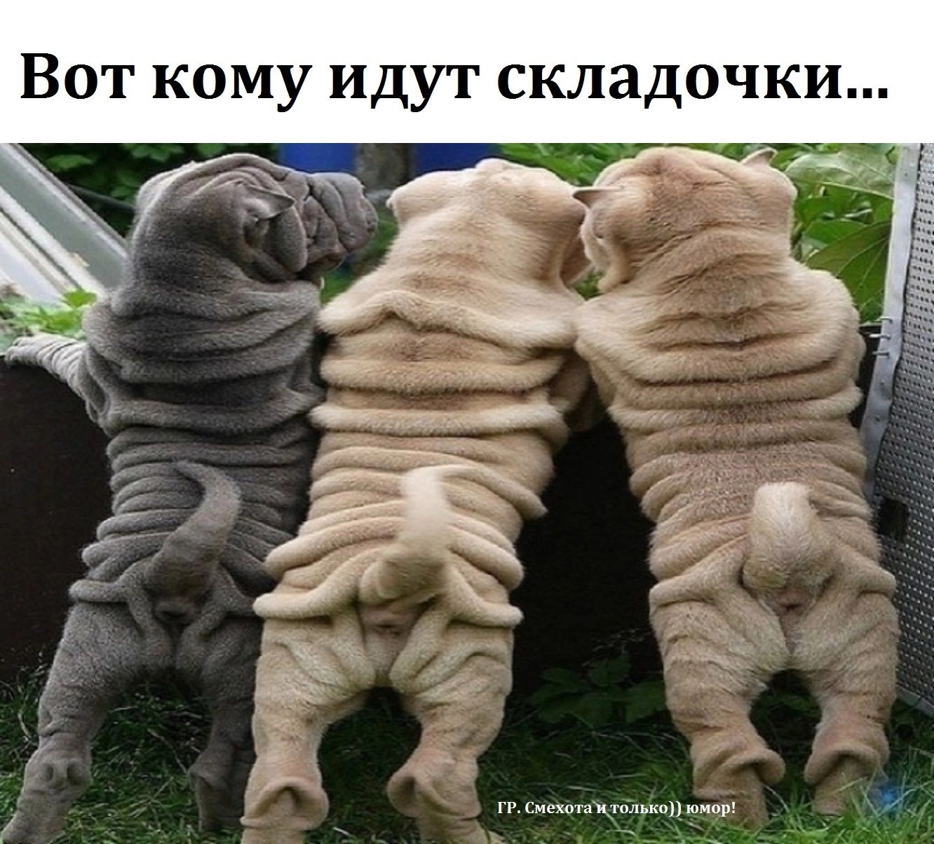 Вот кому идут складочки