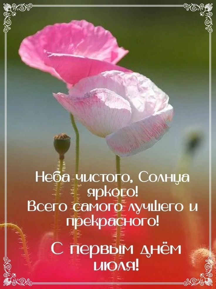 фаршюго С Первым днём плош