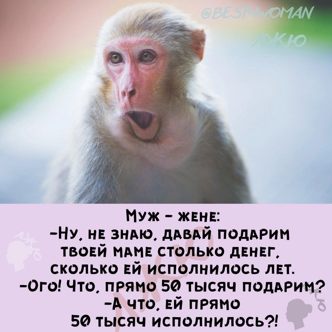 Нуж жвнв НУ нн знлю дивй подАРин ТБОЕЙ пм столько двиг сколько Ей исполнилось лвт 0го Что пряно 50 тысяч подАРин А что Ей пряно 50 тысяч исполнилось
