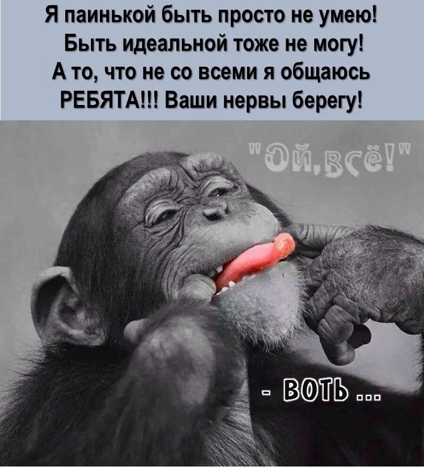 Я паинькой быть просто не умею Быть идеальной тоже не могу А то что не со всеми я общаюсь РЕБЯТА Ваши нервы берегу