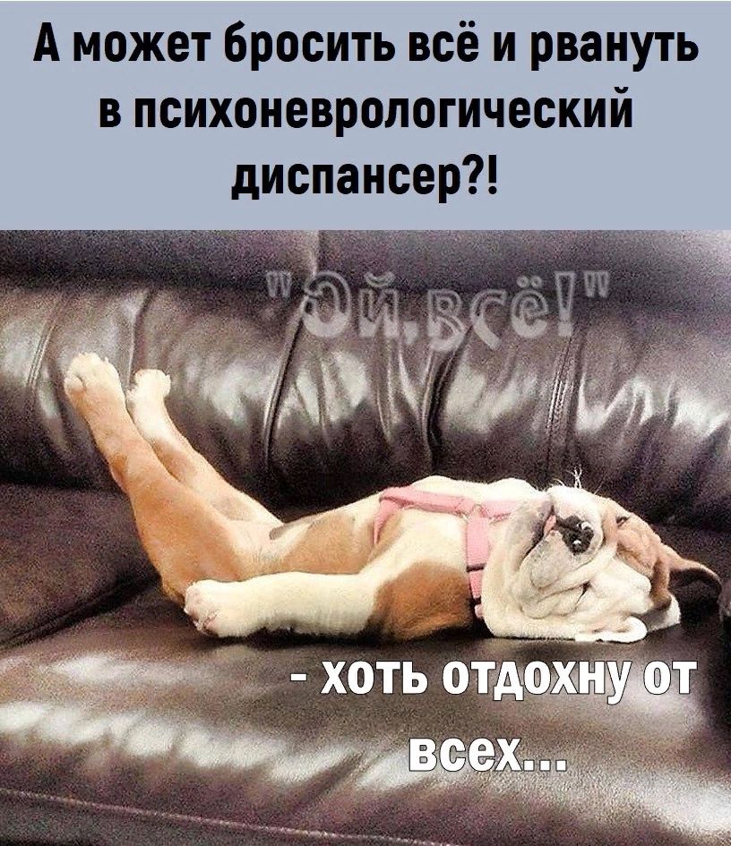 А может бросить всё и рвануть в психоиевропогический диспансер
