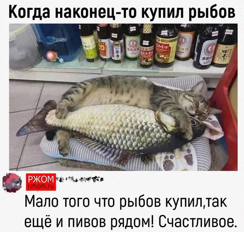 Когда наконец то купил рыбов Мало того что рыбов купиптак ещё и пивов рядом Счастливое