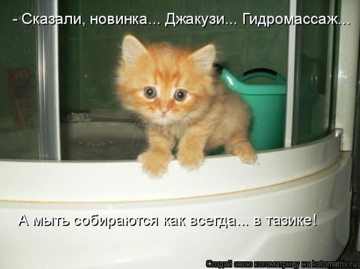 Ска пи новинка Джакузи Гидра і Спа А мы Га сибир ссаж