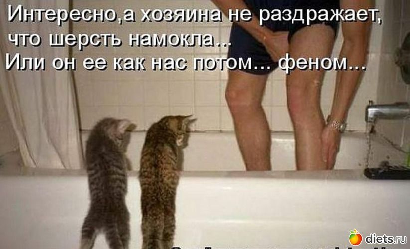 е_раздражает 1037191 гг АОШШ