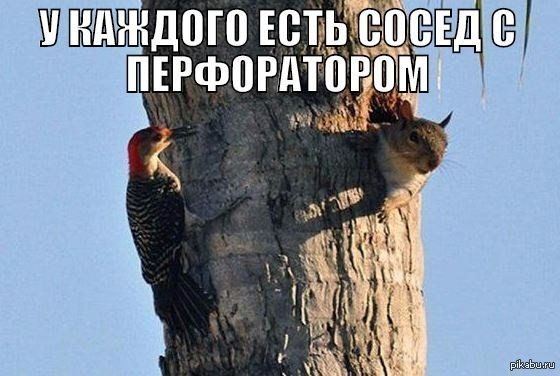 Ш ндждою юм Щі пърфордтдоюм