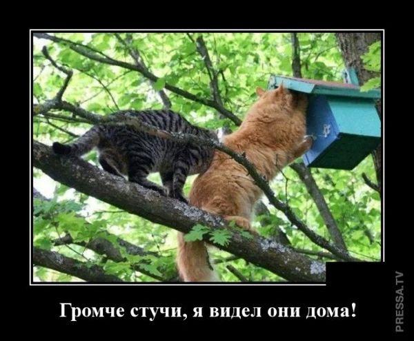 _Я я видел ани дома Громче стучи