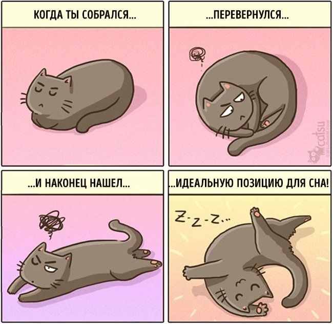кпгдд ты оБРАпСя данными И ИАКПМШ НАШЕЛ ИДЕАЛЬИУЮ ПШИЦИЮ дЛЯ СНА в