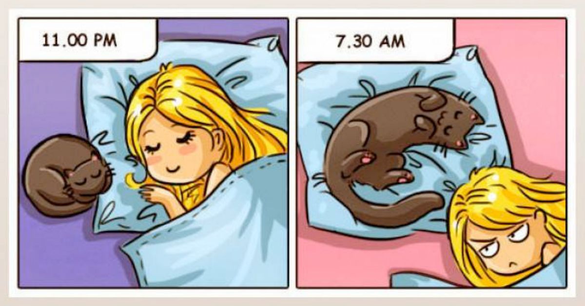 730
