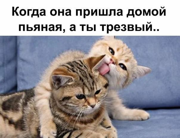 Когда она пришла домой пьяная а ты трезвый