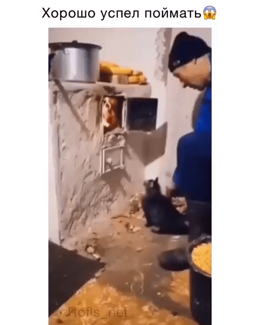 Хорошо успел поймаТь А