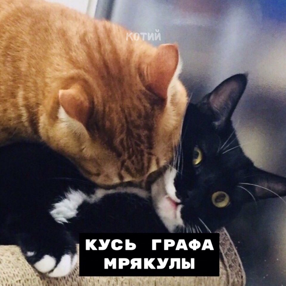 ні д _ КУСЬ ГРАФАХТЪ МРЯКУПН