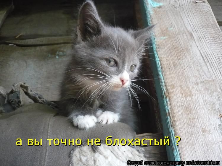 а вы Егочна