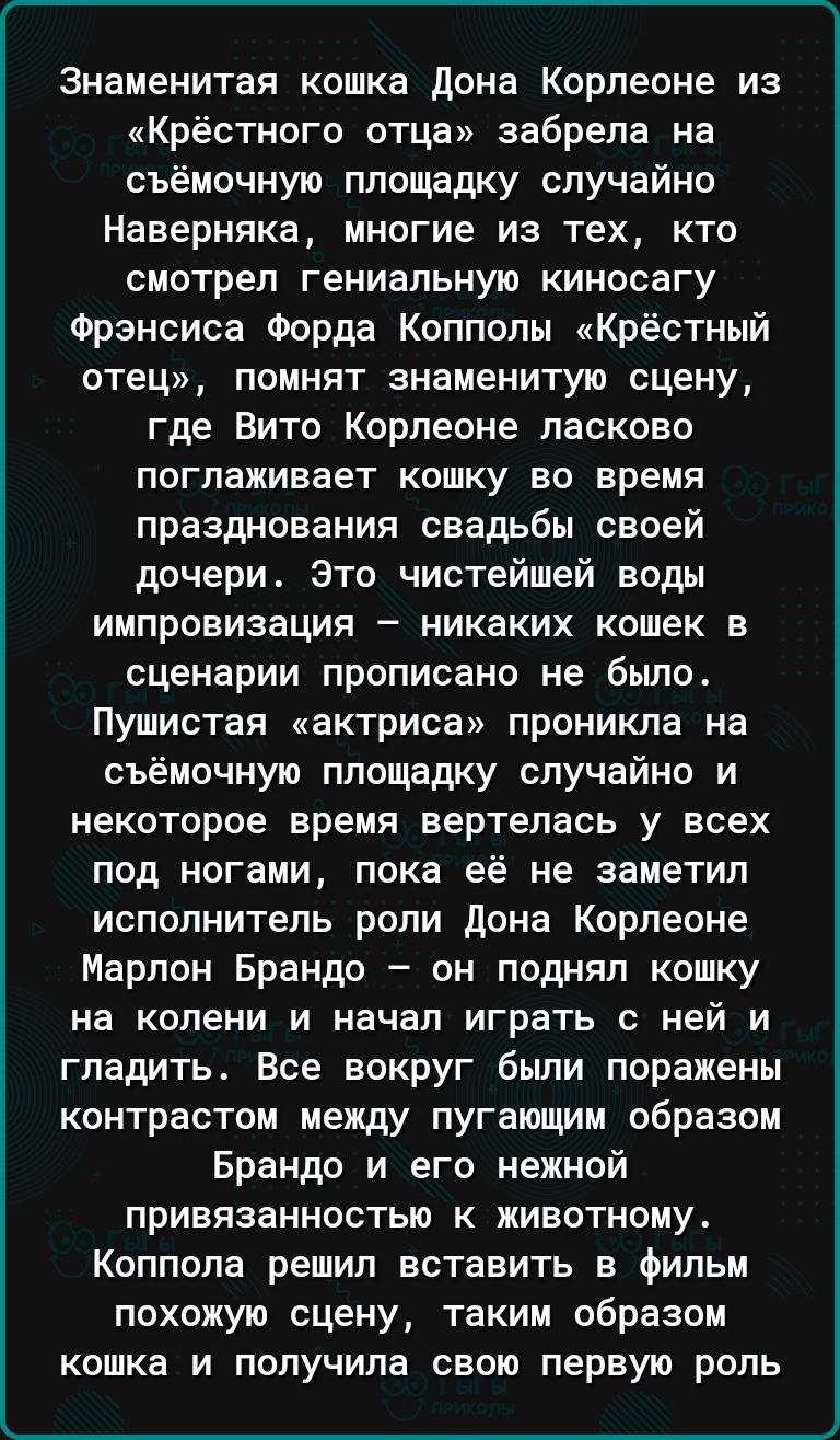 знаменитая кошка дона Корлеоне из Крёстного отца забрепа на съёмочную площадку случайно Наверняка многие из тех кто смотрел гениальную киносагу Фрэнсиса Форда Копполы Крёстный отец помнят знаменитую сцену где Вито Корлеоне ласково поглаживает кошку во время празднования свадьбы своей дочери Это чистейшей ноды импровизация никаких кошек в сценарии прописано не было Пушистая актриса проникла на съём