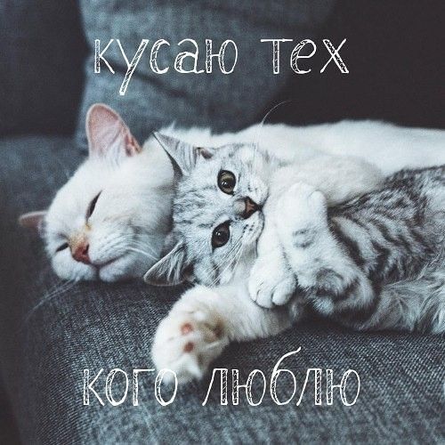 КУСЁЮ ТЁХ
