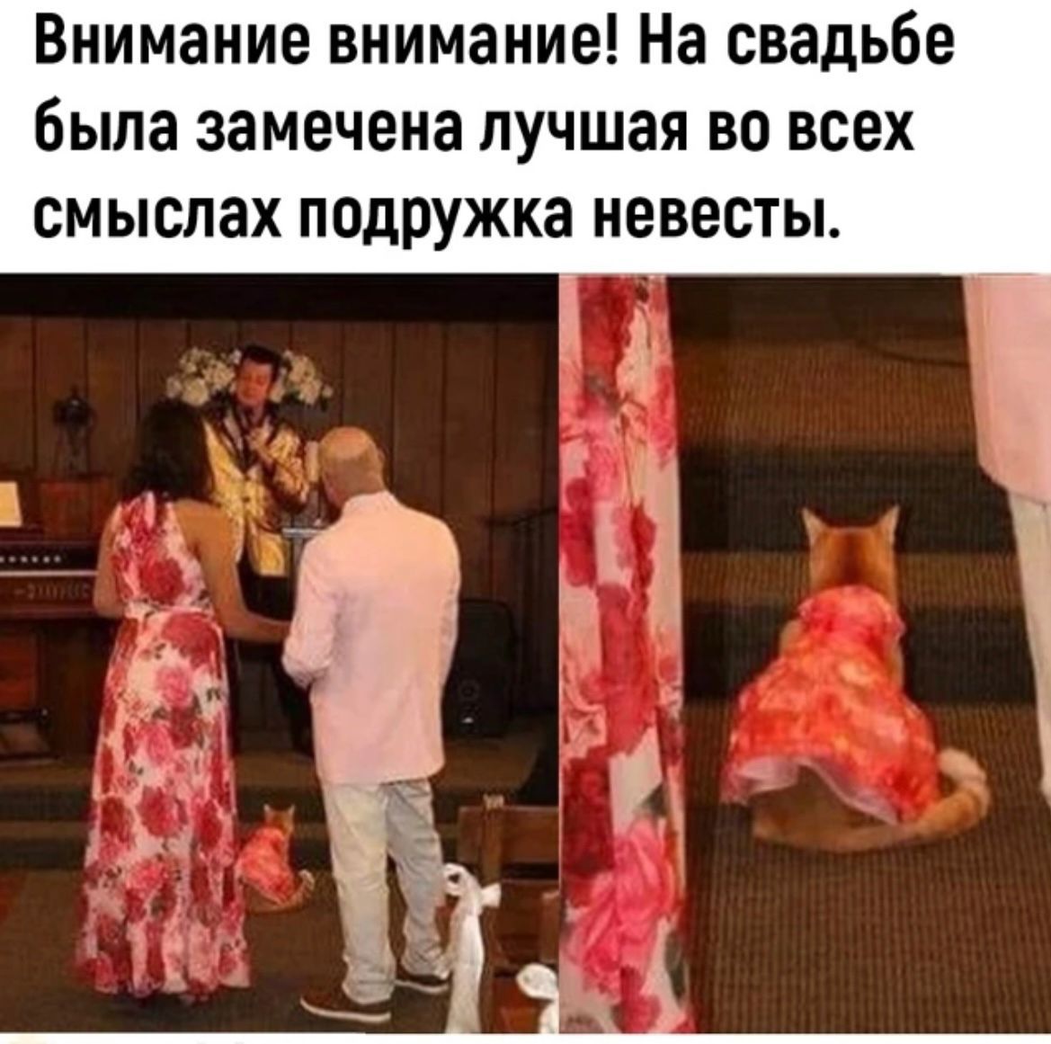 Внимание внимание На свадьбе была замечена лучшая во всех смыслах подрУЖка невесты