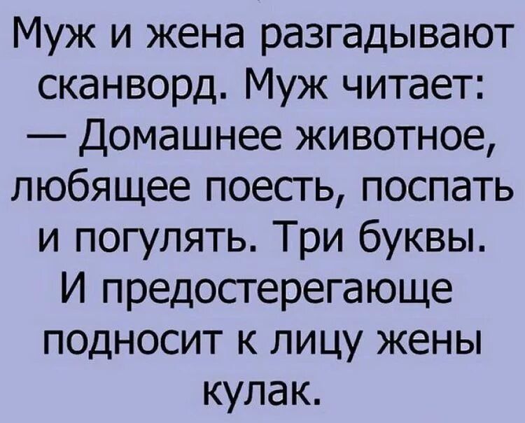 Муж и жена разгадывают сканворд Муж читает Домашнее животное любящее поесгь поспать и погулять Три буквы И предосгерегающе подносит к лицу жены кулак