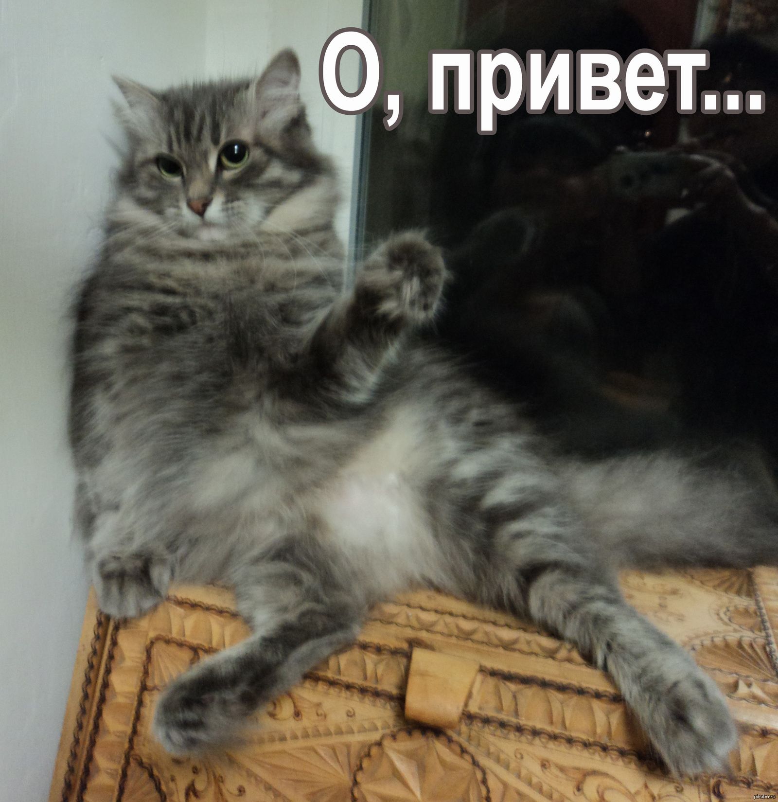 привет