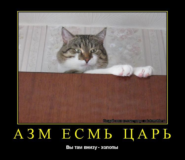 4 ЗМ ЕСМ ЦАЪЬ вы им щияу шопы