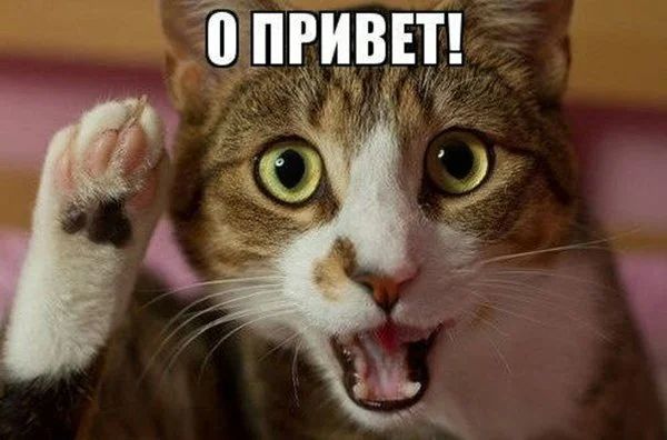 пгивш