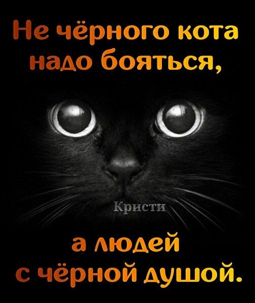 Не чёрного кота надо бояться с чёрной душой
