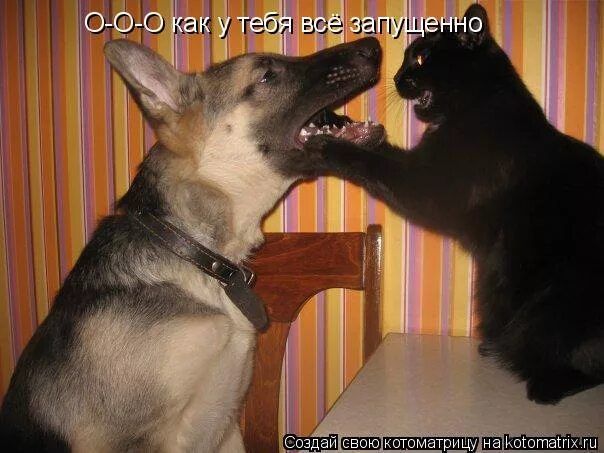 П СДЁЭ5Оягпуггбщ ы