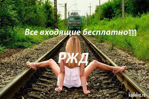 1 шут Все входдщие б платно