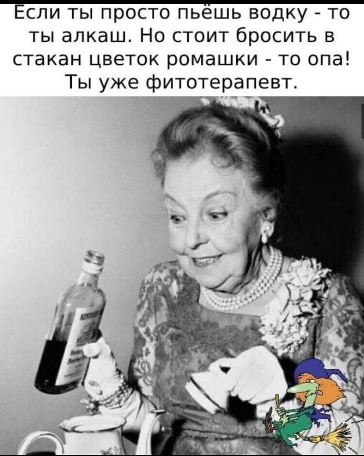 Если ты просто пьешь водку то ты алкаш Но стоит бросить в стакан цветок ромашки то опа Ты уже фитотерапевт
