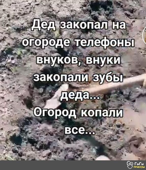 г фазы