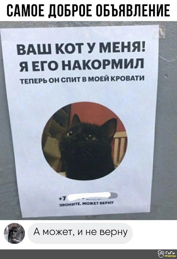 БАМПЕ ЛОБРОЕ ОБЪЯВЛЕНИЕ ВАШ КОТ У МЕНЯ Я ЕГО НАКОРМИЛ ТЕПЕРЬ О С В МОЕЙ КРОВАТИ