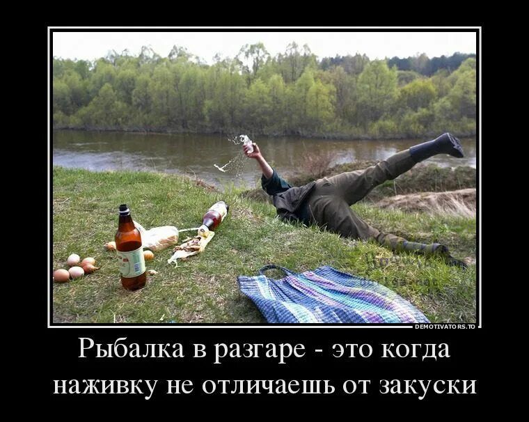 Рыбалка в разгаре это когда наживку не отличаешь от закуски