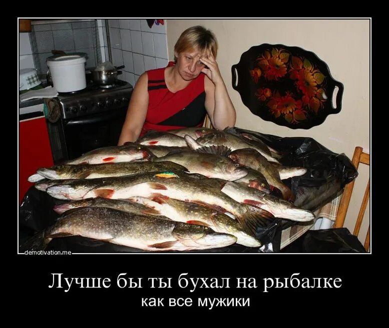 Лучше бы ты бухал на рыбалке как все мужики