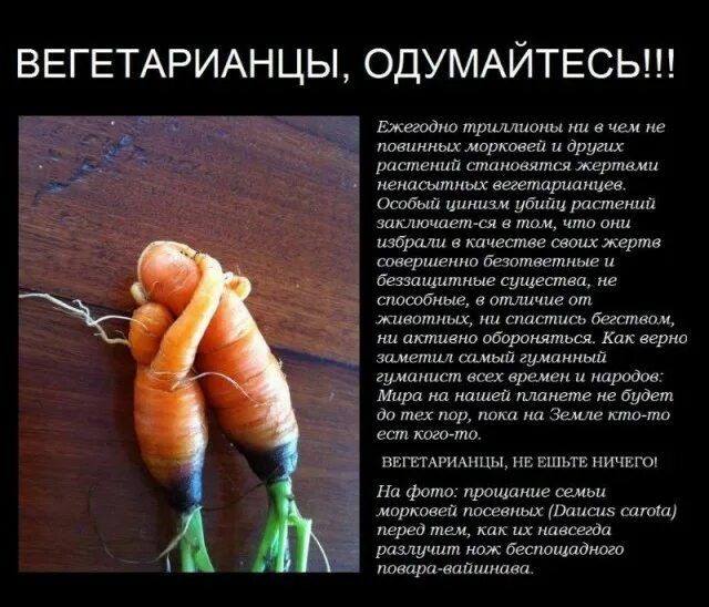 ВЕГЕТАРИАНЦЫ ОДУМАЙТЕСЬ тщиишшшш жиищмцпшшишдцящ шакпк щмм шикищшщиищщ Итютшатцмжбимп дошпдипптилзгщт шмцц пв апп и