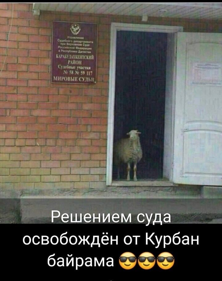 Решением суда освобождён от Курбан байрама