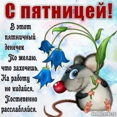 ппьчптпашщаёйдга этот пятничный денЁчеп то желаю что захочешь работу не киіаіся Постепенно рассмбляйся