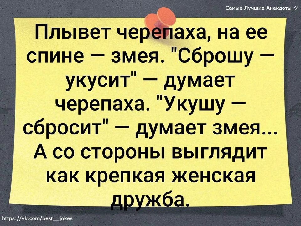 Плывет черёйаха на ее спине змея сброшу укусит думает черепаха Укушу сбросит думает змея А со стороны выглядит как крепкая женская