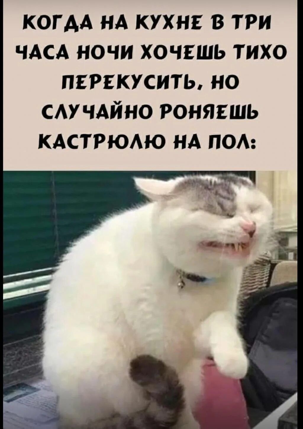 КОГАА НА кухни в три ЧАСА ночи ХОЧЕШЬ тихо прикусить но смчдйно гоняешь КАСТРЮАЮ НА под
