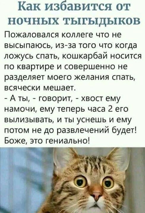 Как избавится от НОЧНЬ1Х ТЬ1ГЬ1ДЬ1КОВ Пожаловался коллеге что не БЫСЫПЗЮСЬ изза ТОГО ЧТО КОГДЗ ложусь спать кошкарбай носится по квартире и совершенно не разделяет моего желания спать всячески мешает А ты говорит хвост ему намочи ему теперь часа 2 его ВЫЛИЗЫВЭТЬ И ТЫ уснешь И ему потом не до развлечений будет Боже это гениально