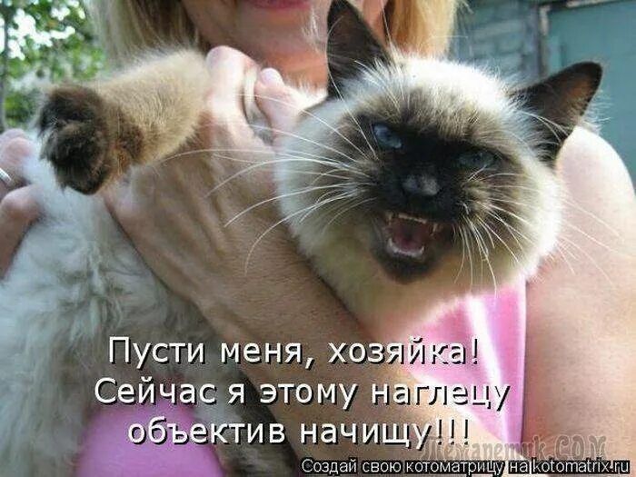 Сейчас я этому ктив начи