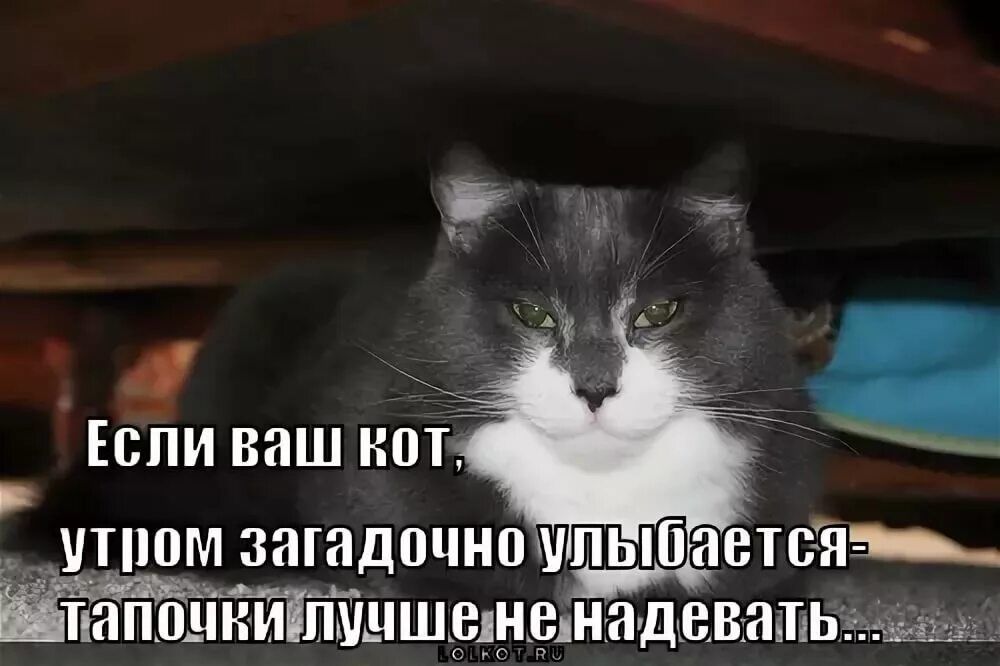 ЕСПИ ВПШ ШТ7 ПШМ ЗНГПДПЦНП улыбается ПППОДН ИПМЦШВ ишиидевит